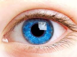 Eye donation fortnightly program